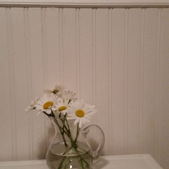 Meet your Posher, Ginger - Picture 1 of 1